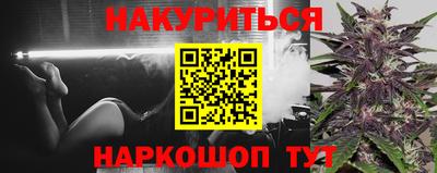 МДПВ Кингисепп