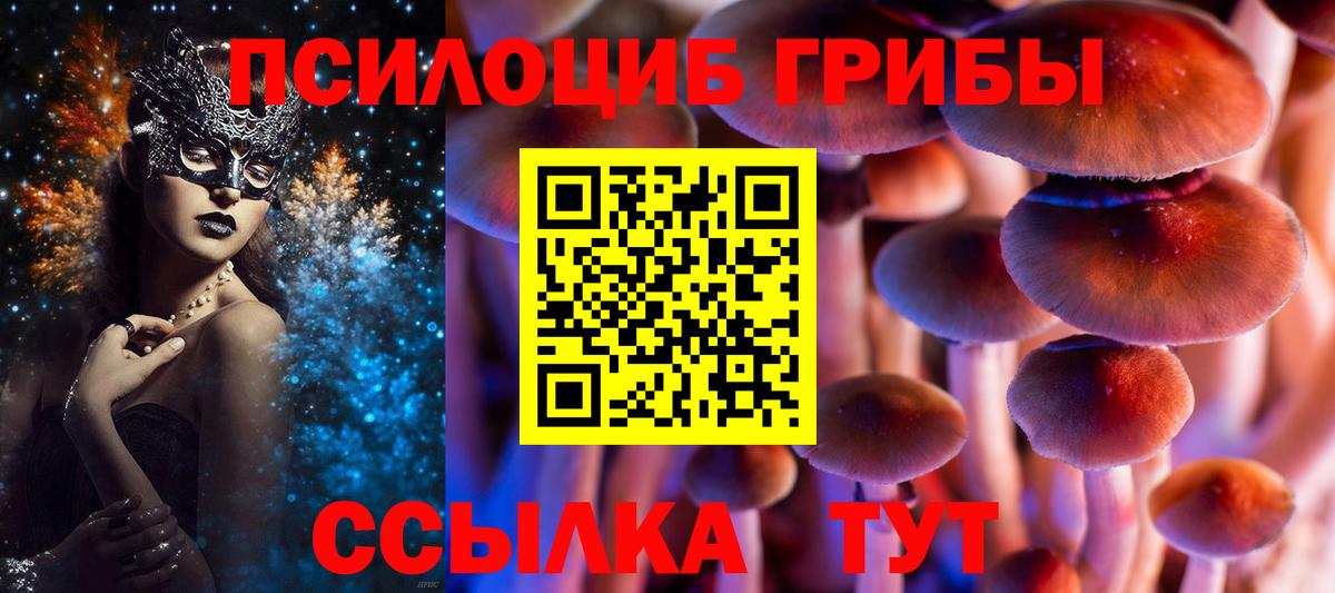 Киселёвск  наркотики  Галлюциногенные грибы Magic Shrooms  Вход с VPN  Псилоцибиновые грибы мухоморы 