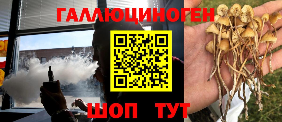 Галлюциногенные грибы мицелий Киселёвск