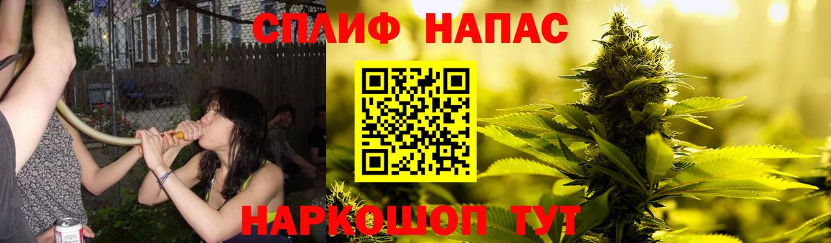 Бошки марихуана Ganja  Вход с VPN  Киселёвск  Конопля план  Марихуана сатива 